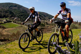 noleggio-mtb